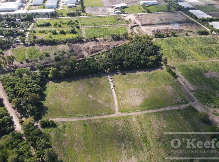 Lote en Pozo Barrio Tierra de Robles El Pato Berazategui - 4