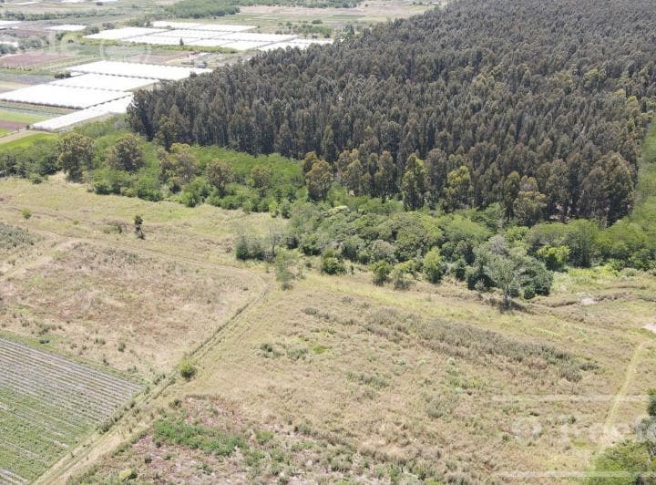 Lote en Pozo Barrio Tierra de Robles El Pato Berazategui - 5