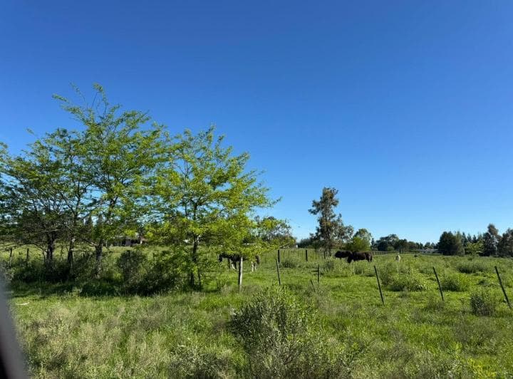 1 Hectarea en Venta Cañuelas - 3