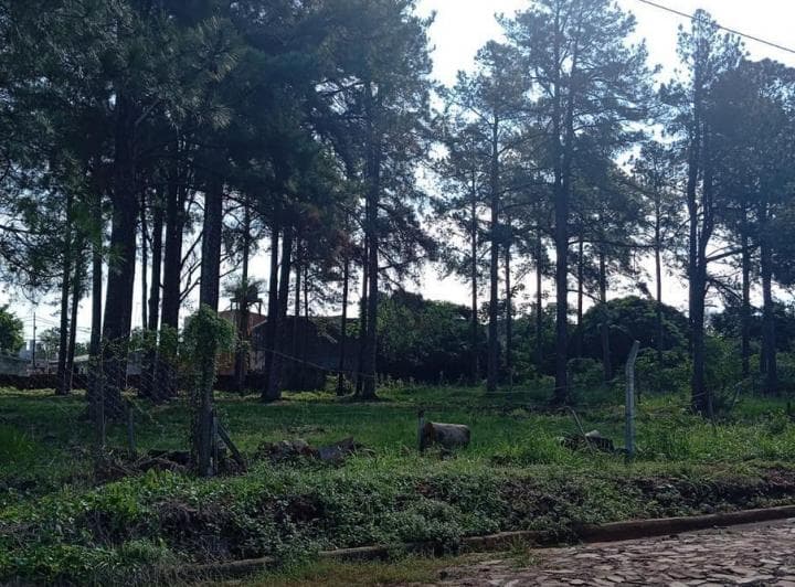 Tf815 - Terreno en Venta - 900 m² - Itaembé Miní - 3