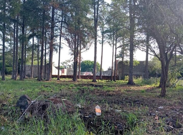 Tf815 - Terreno en Venta - 900 m² - Itaembé Miní - 2