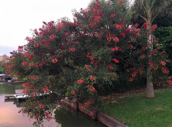 Venta Casa Moderna Glorietas, Al Lago Nordelta - 5