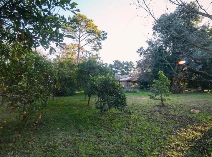 Hermoso Lote 300 m² a La Venta con Pileta - 4
