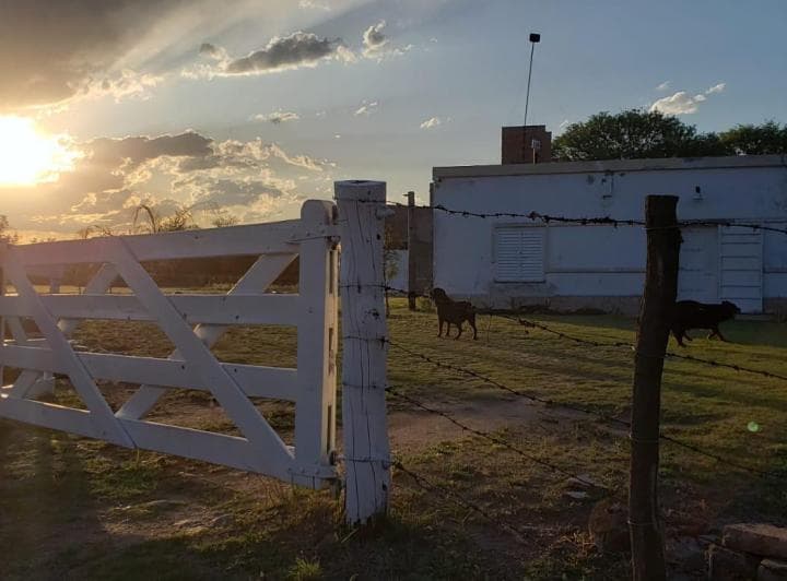 Campo en Venta - 3