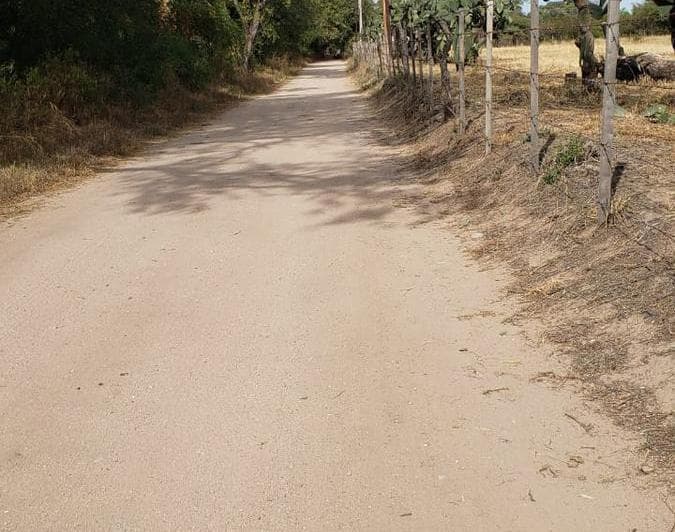 Campo en Venta - 2