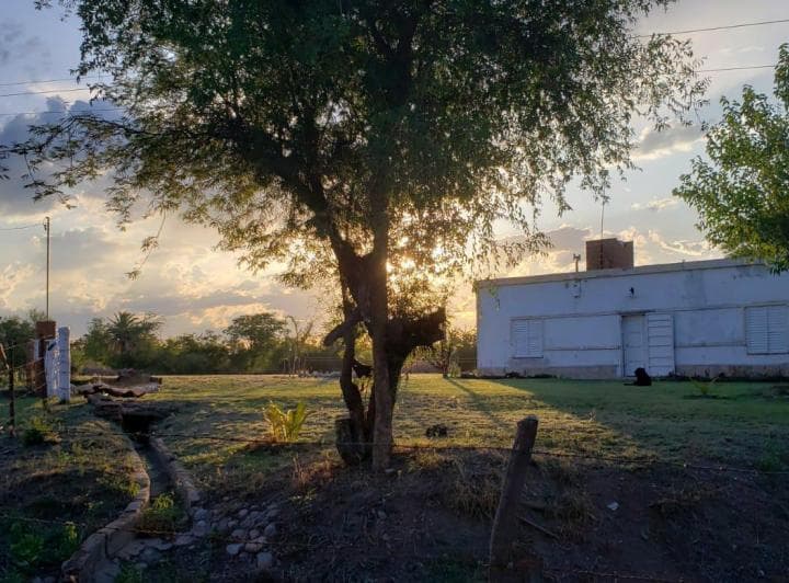 Campo en Venta - 4