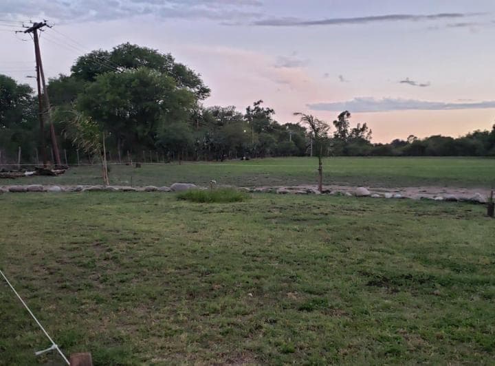 Campo en Venta - 5