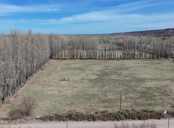 Lote en Venta en Añelo, Calle 6, Neuquén - 4