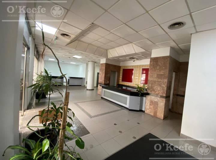 Venta y Alquiler Edifcio de Oficinas Zona San Telmo - Caba - 3.354 m² - 5