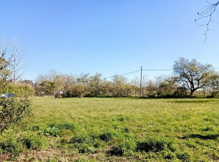 Lote en Arturo Segui - 3