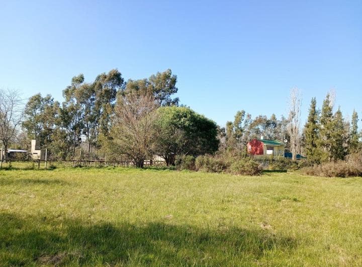 Lote en Arturo Segui - 4