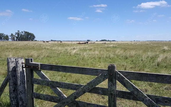 450 Has Magdalena - Campo en Venta a m de Ruta 36! - 5