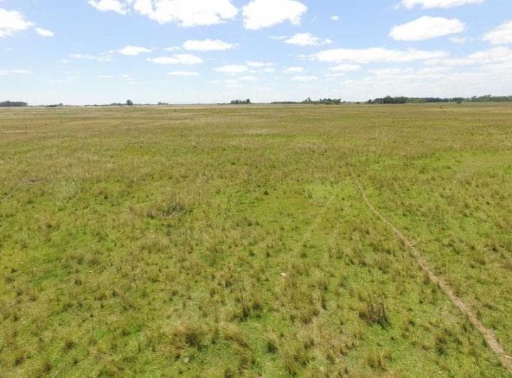 450 Has Magdalena - Campo en Venta a m de Ruta 36! - 2