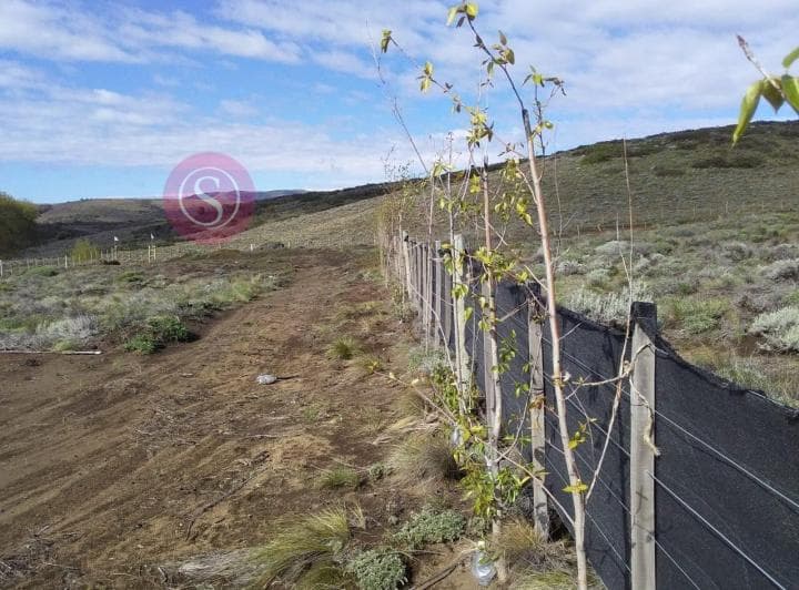Terreno Lote en Venta en Huechulafquen, Huilliches, Neuquén - 2
