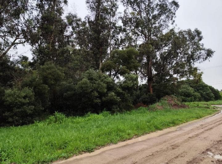 Lotes en Block en Venta Miramar - 4