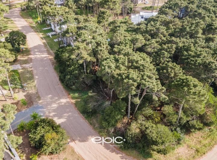 Lote en Venta Individual o en Block Las Gaviotas - 3