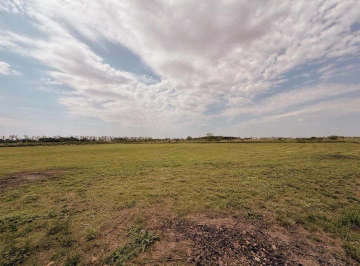Guardarrama 3250 Bis - Terreno de 1 Ha con Cabaña - Ibarlucea - 3