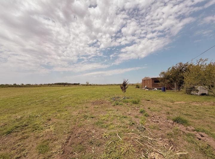 Guardarrama 3250 Bis - Terreno de 1 Ha con Cabaña - Ibarlucea - 5
