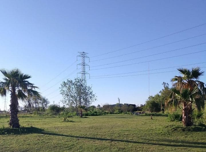 Cuatro Lotes en Alquiler en Villanueva - 4