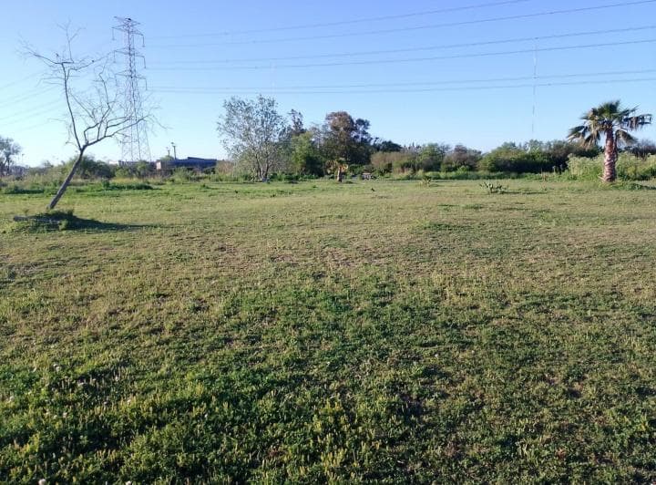 Cuatro Lotes en Alquiler en Villanueva - 2