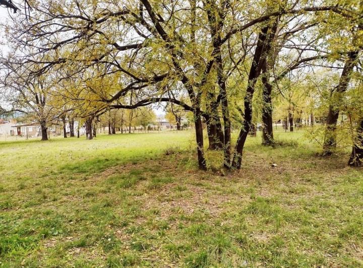 Dos Terrenos en Venta Los Reartes, Calamuchita, Córdoba - 2