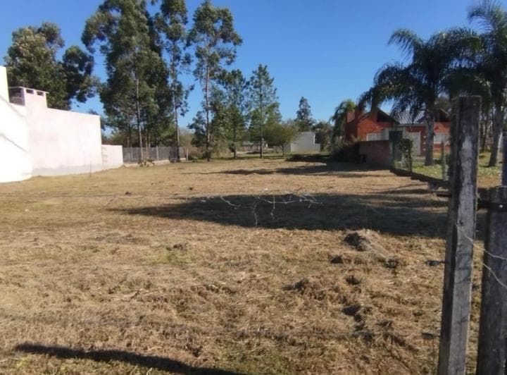 Terreno en Venta Colonia Benitez - 3