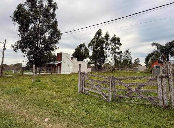 Terreno en Venta Colonia Benitez - 4