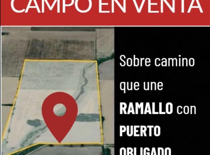 Campo de 49 Ha en Venta en El Paraíso - Ramallo - 3