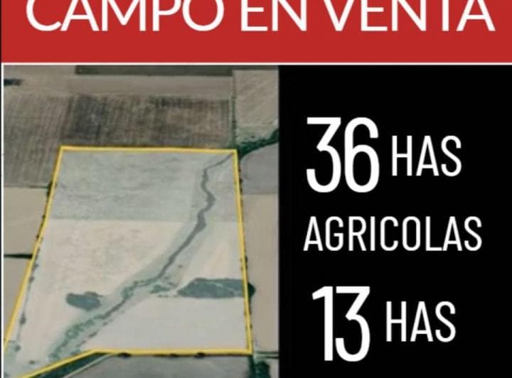 Campo de 49 Ha en Venta en El Paraíso - Ramallo - 2