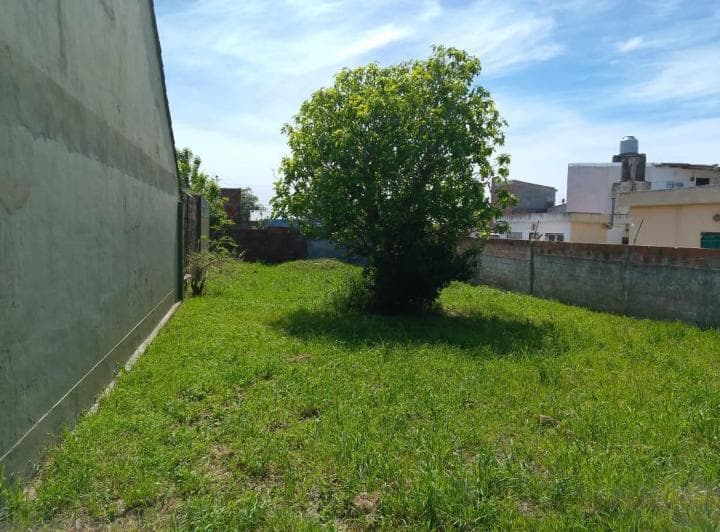 Lote de Terreno - Carasa y Gianelli - 4