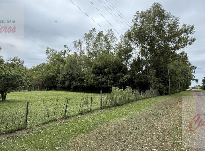 Terreno en San Esteban (Barrio Peluffo) - 3