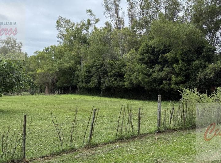 Terreno en San Esteban (Barrio Peluffo) - 5
