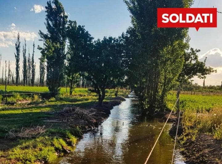 Finca en Venta 30 Hectáreas Ruta 160 La Llave San Rafael Mendoza - 3