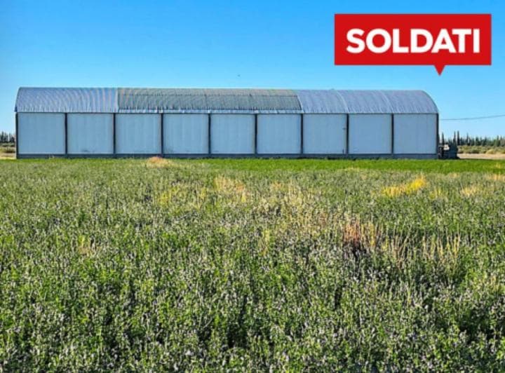 Finca en Venta 30 Hectáreas Ruta 160 La Llave San Rafael Mendoza - 4