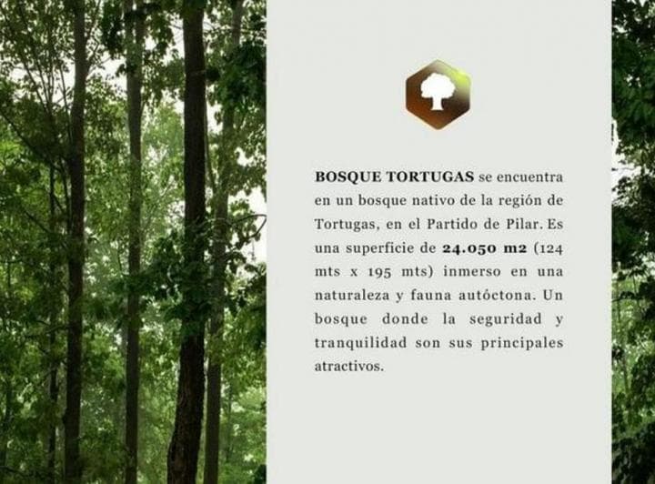 Excelente Departamento de Categoría en Venta. - 5