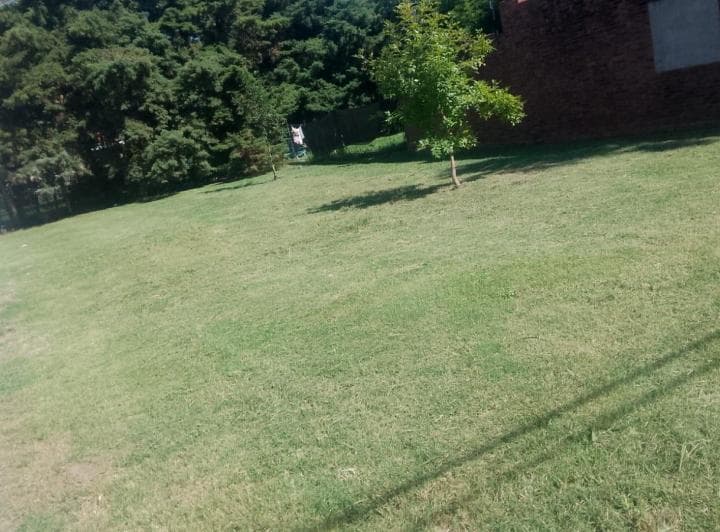 Alquiler - Lote en Roldan - San Sebastián Al 300 - 2