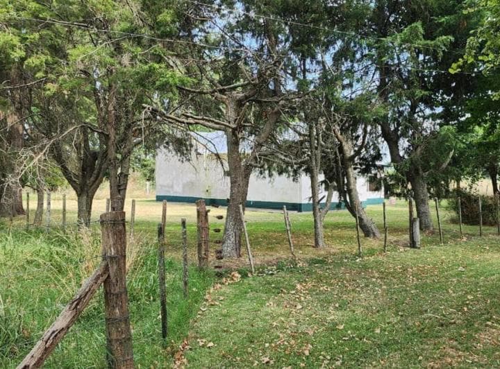 Campo Sobre Ruta 41, con Chalet de Dos Dorm. - 5