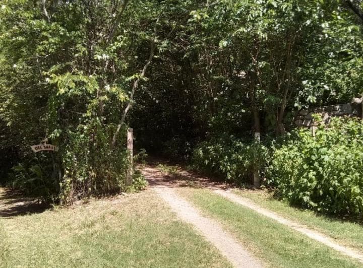 Lote de 14.300 m con Casa en Venta Salsipuedes - 4