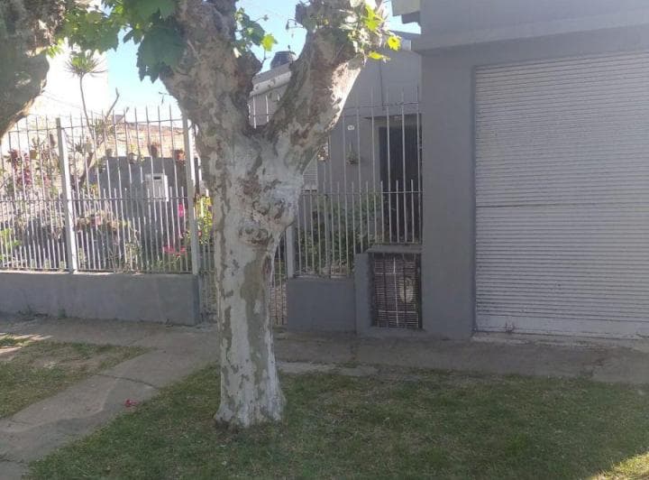 Casa de 1 Dormitorio con Gran Terreno - 2