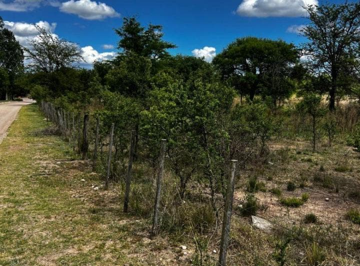 Dos Lotes a La Venta en Nono Cerca Rio - 2