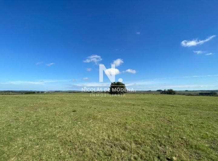 Venta de Campo en Laguna del Sauce de 112 Ha - 5