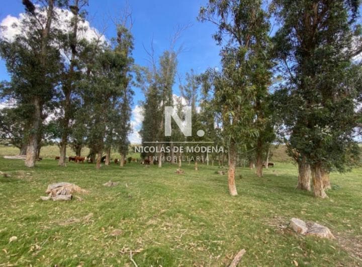 Venta de Campo en Laguna del Sauce de 112 Ha - 2