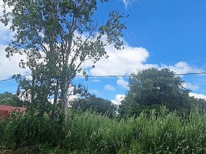 Gral. Madariaga, Lote Unifamiliar Sobre Av. - 3