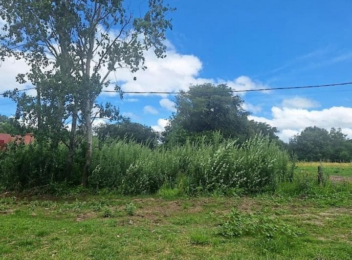 Gral. Madariaga, Lote Unifamiliar Sobre Av. - 4