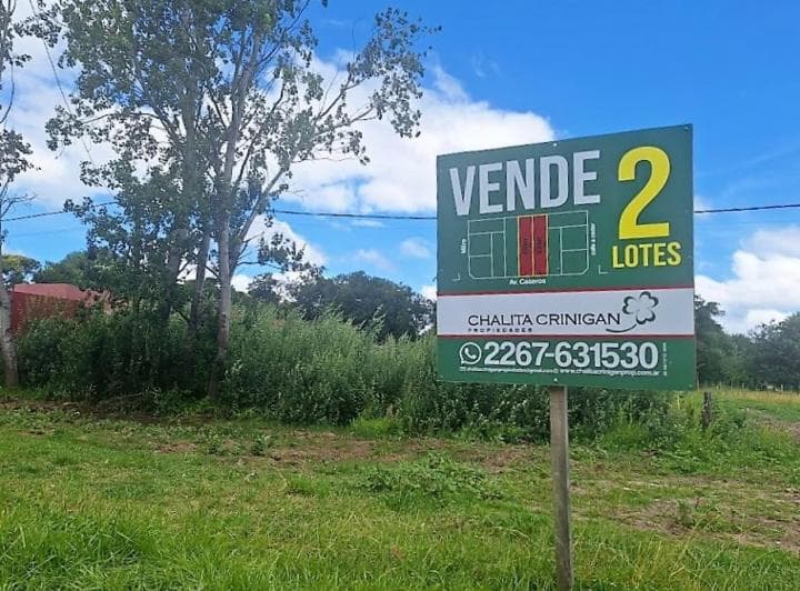 Gral. Madariaga, Lote Unifamiliar Sobre Av. - 2