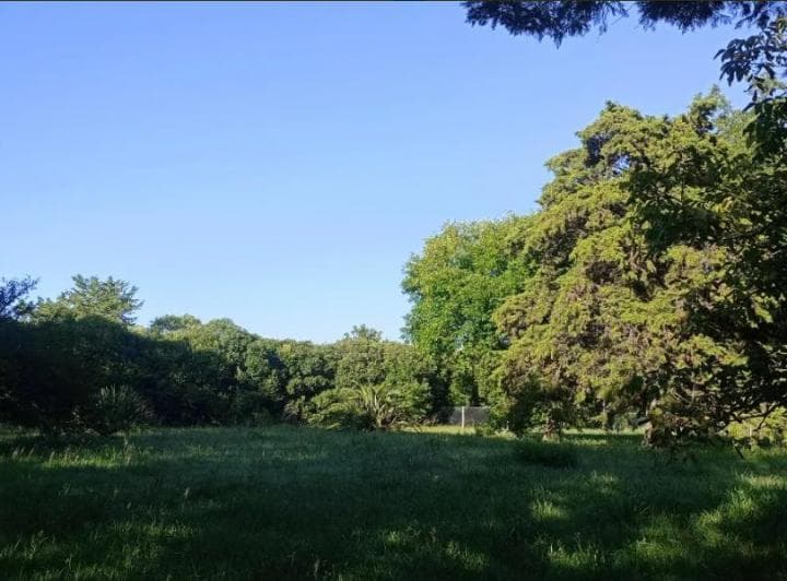 Dueño Vende Excelente Lote en Venta por Precio y Ubicación. Dueño Directo - 4