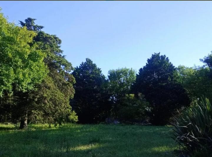 Dueño Vende Excelente Lote en Venta por Precio y Ubicación. Dueño Directo - 2