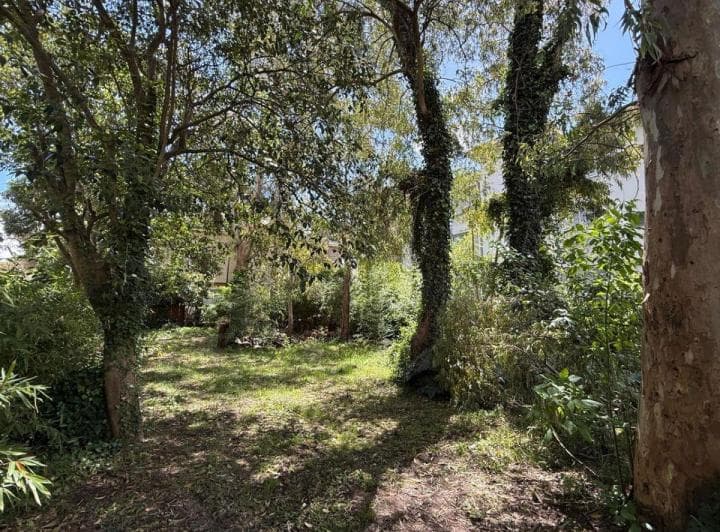 Lote Multifamiliar en Venta Centauro Pinamar - 5