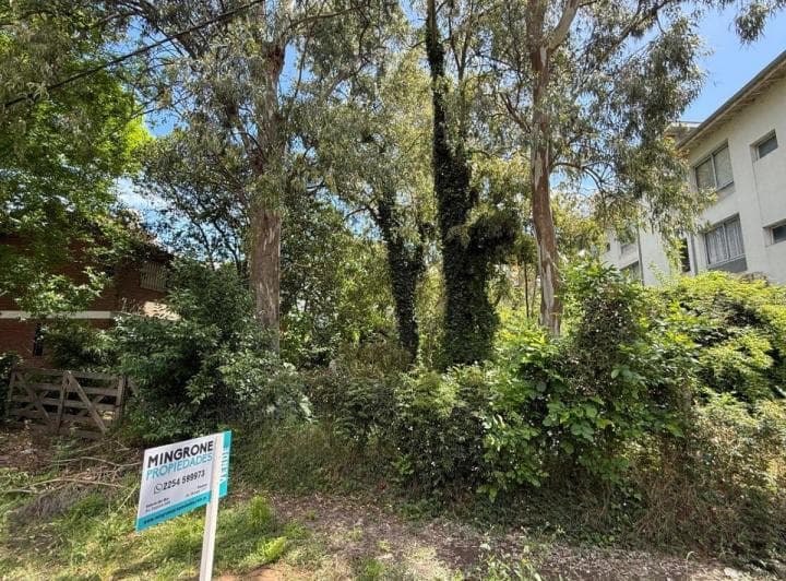 Lote Multifamiliar en Venta Centauro Pinamar - 4