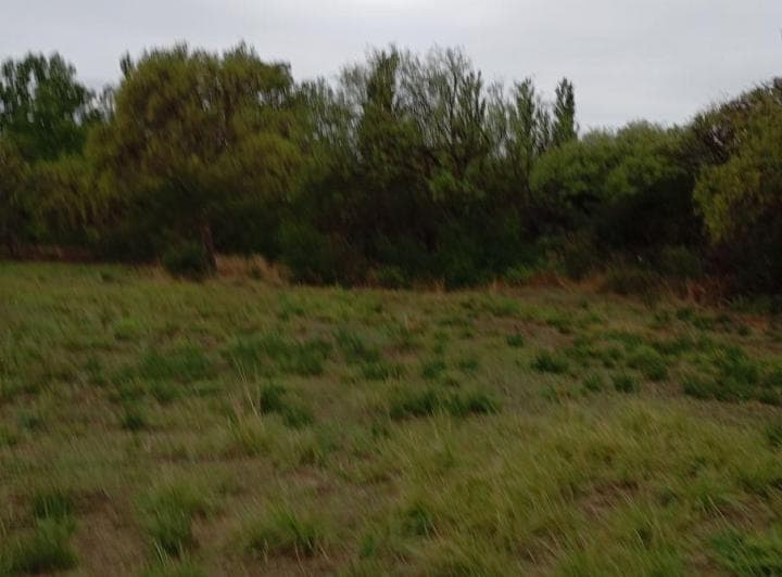 Terreno de 800 m² en Venta en Luján - 3